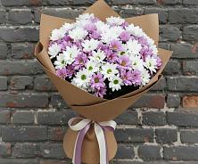 Букет цветов из:  Хризантемы #REPLACE_PRED# Петровском