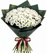 Букет цветов из:  Хризантемы #REPLACE_PRED# Петровском