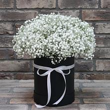 Цветочная композиция из Гипсофила в шляпной коробке в Петровском