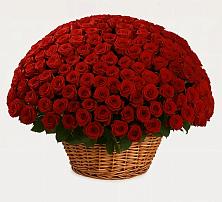 Премиум букет из: Розы в Петровском